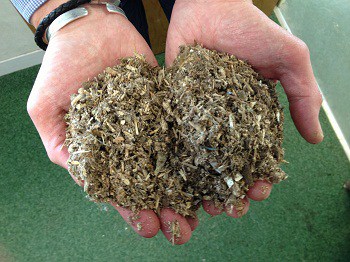The Agency guidance explains that only clean waste wood, including fines, should be sent for composting